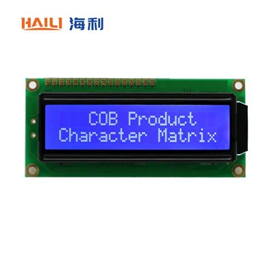 10 führende LCD-Modulfabrik in China 2025